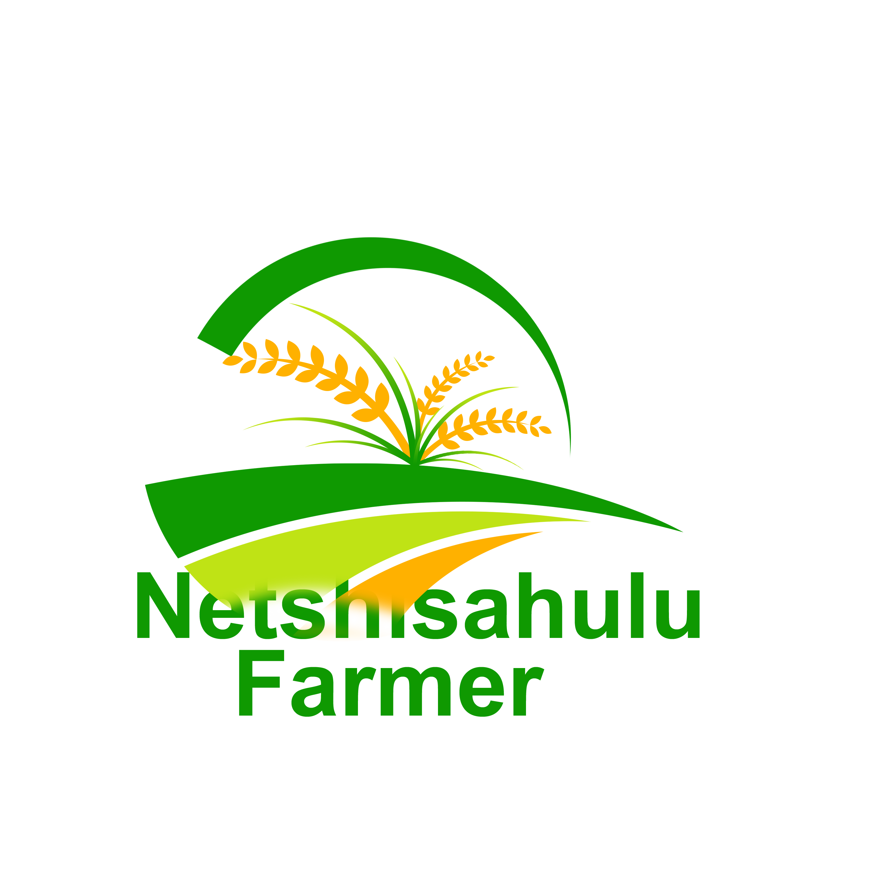 Netshisahulu logo